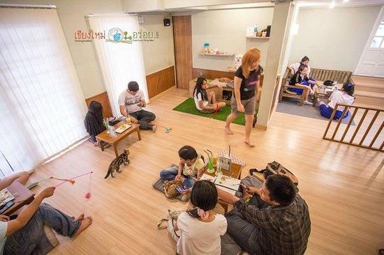 Maewmoth Cat Cafe
